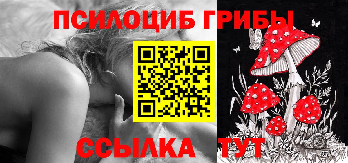 Галлюциногенные грибы прущие грибы Медногорск