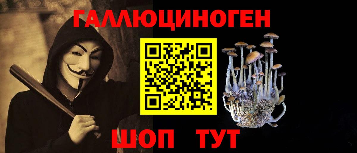 Галлюциногенные грибы прущие грибы  Вход с VPN  Медногорск 